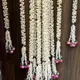Pink__Nutts