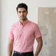 Blush Pink __Kuons Avenue