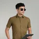 Olive Green__Kuons Avenue