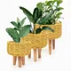 Yellow__Greenarium