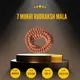 7 Mukhi__LOTUS GEMS