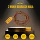 2 Mukhi__LOTUS GEMS