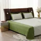 Green__DEKOR WORLD