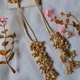 Gold,pink__Bawri Banjari