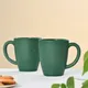 Fern__Eha.eco