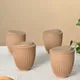 Tortilla__Eha.eco