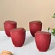 Coral__Eha.eco