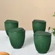 Fern__Eha.eco