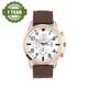 Brown-White__ADAMO 