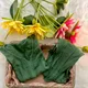 Green__Pkz Lucknawi Chikan
