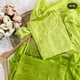 Parrot Green__Pkz Lucknawi Chikan