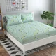 Green__RRC