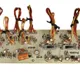 Mic Board - SSA-250W__strangerindia