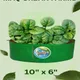 10x6__Maq Urban Farms