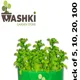 10"x6"__Maq Urban Farms