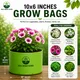 10"x6"__Maq Urban Farms