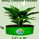 12x9__Maq Urban Farms