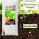 Vermi_ Compost__Maq Urban Farms
