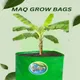 24"x24"__Maq Urban Farms