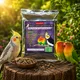 5 kg__Maq Urban Farms