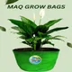 10x9__Maq Urban Farms