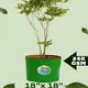240 GSM__Maq Urban Farms