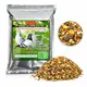 Seeds__Maq Urban Farms