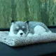 Grey__Gadgetzilla