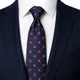 Navy Blue / Red / White__CALIXTO