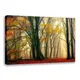 Premium Canvas__Harmony Arts