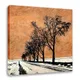 Premium Canvas__Harmony Arts