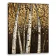 Premium Canvas__Harmony Arts