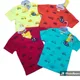 Multy Colour__Indiannatures