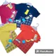 Multy Colour__Indiannatures