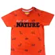Orange__Indiannatures
