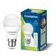 PACK OF 1__Spark world