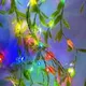 MULTICOLOR__Spark world