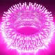 PINK__Spark world