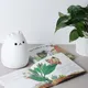 CUTE KITTY__Spark world