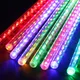 MULTICOLOR__Spark world