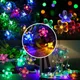 Multicolor__Spark world