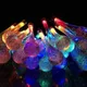 MULTICOLOR__Spark world