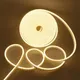 Gold__Spark world