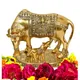 Cow__International Gift
