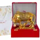 Golden Set Of 1 Pieces__International Gift