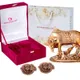 Brown__International Gift