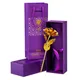 Golden Rose__International Gift