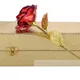 Red Rose__International Gift