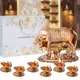 6 Hand Diya__International Gift