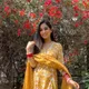 Yellow__Kalpmandir